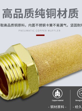 气动电磁阀消音器1/2/3/4分平头消声器BSL/PSV/SLM-01/02/03/04铜