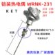233 电热偶 235 238S铠装 细杆温度传感器 236 K型热电偶WRNK231