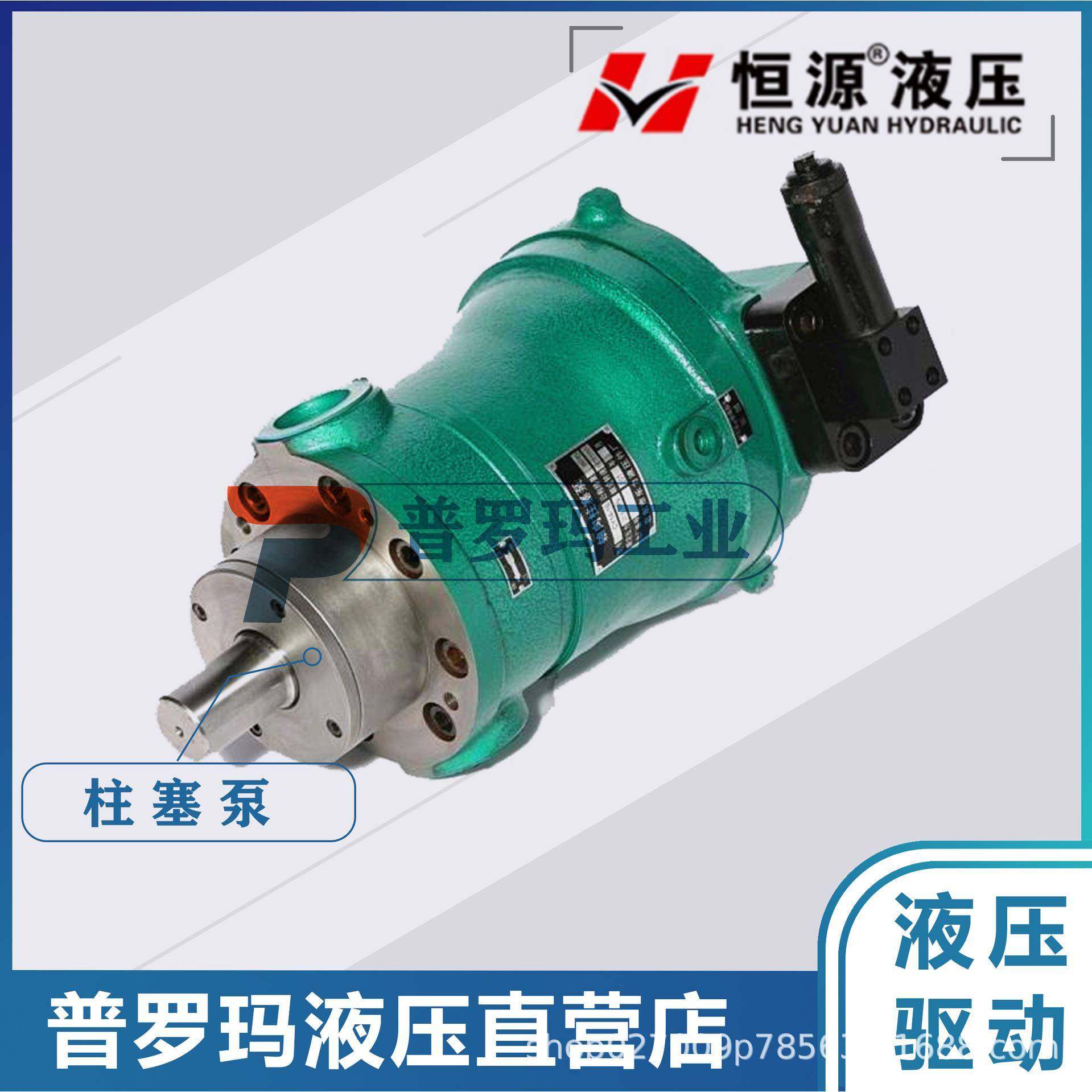 10PCY25PCY63PCY80PCY100PCY160PCY250PCY14-1B轴向柱塞泵