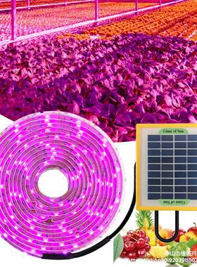 厂光家直销室内植物VKR生长灯太蔬阳能肉补光灯多LED全谱仿太阳光