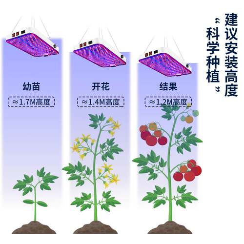 全光谱植物生长灯大棚种植植物补光100-277V室内大型绿植仿太阳光
