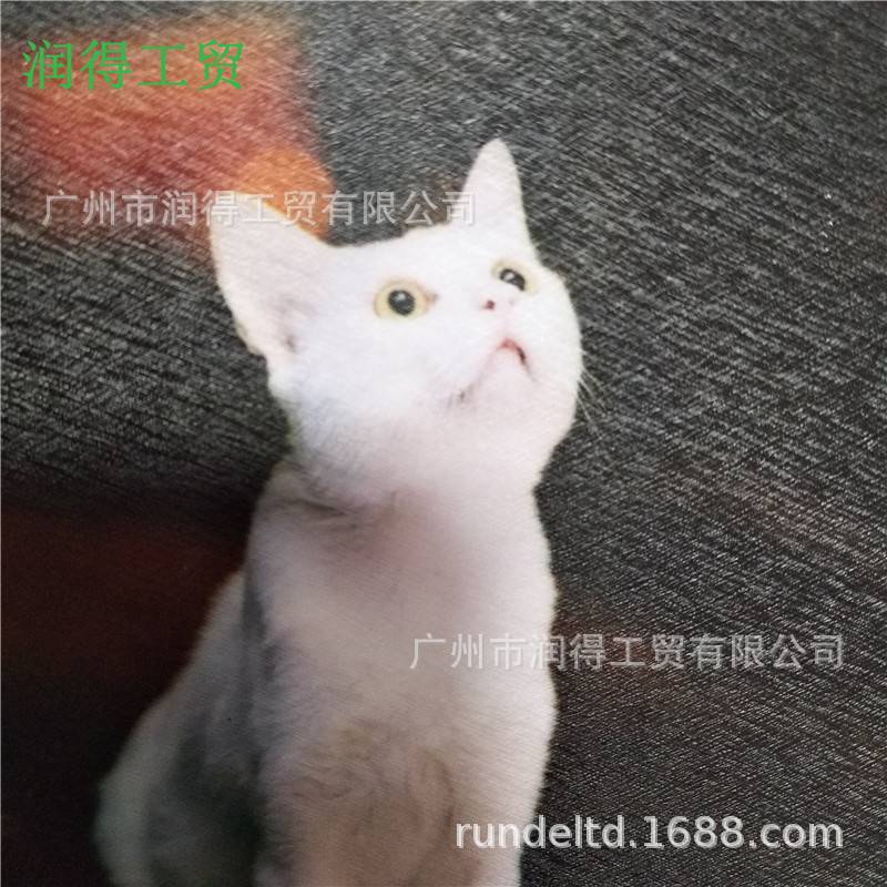 PVC蚕丝膜冷裱膜一卷起批保护膜影楼相片膜写真装饰框画标书封面