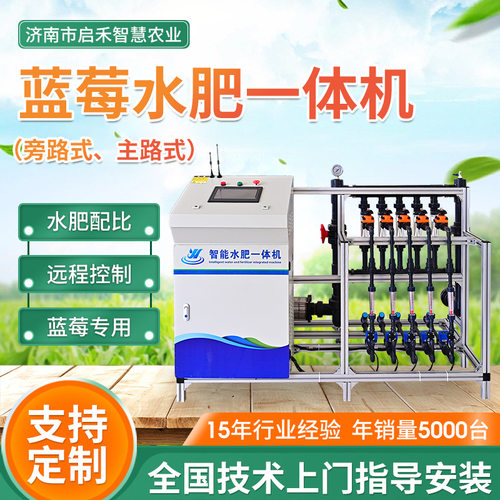 蓝莓草莓施肥灌溉一体设备全自动无土栽培智能水肥一体机多功能