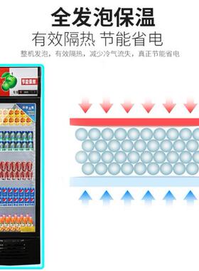 单啤酒柜藏展示柜立式商冷用门ILA冰箱保鲜柜饭店超市冷柜双门 饮