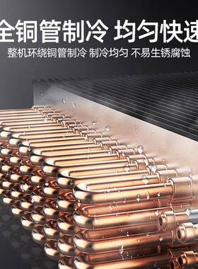 商用双门插盘柜 温冷冻双温QAE风烘焙冷无霜冷藏柜烘 不锈钢低焙