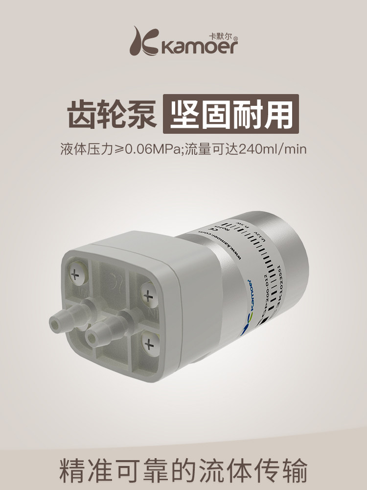 微型齿轮泵 12V直流塑料迷你电动小型抽水泵高压水泵循环泵