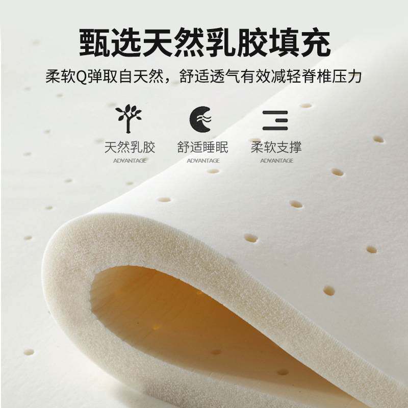 乳胶记忆棉床垫遮盖物软垫家用卧室学生宿舍单人榻榻米床褥垫