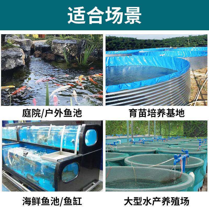 鱼池过滤空器机过AII水循环锦鲤系统养滤殖装置水产养殖转鼓微滤