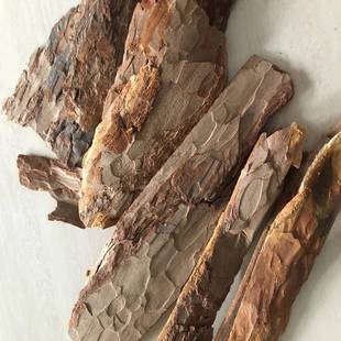 园林种植用松树皮水DJP除臭松树皮填料中污化含油树污水除石臭用