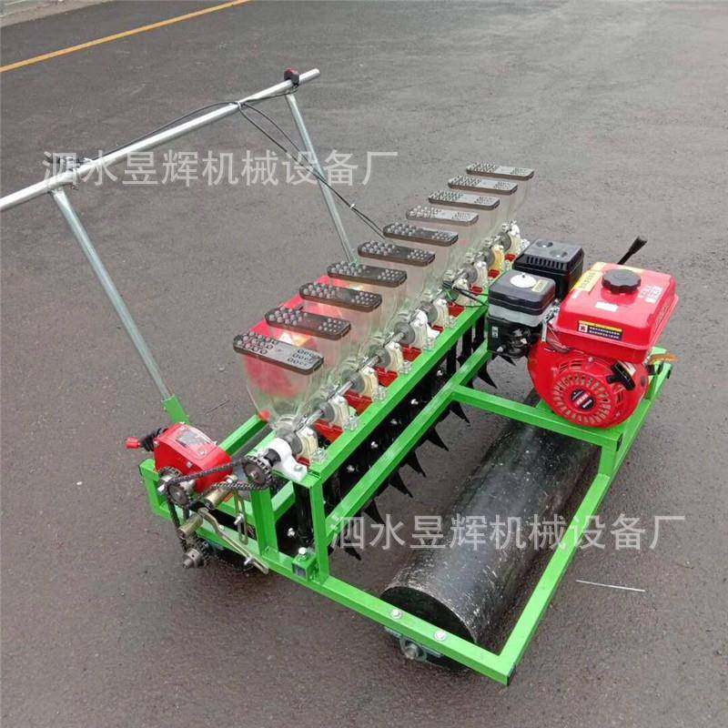 新式小型汽油行蔬菜播种机蔬效菜大棚用率高 油六菜 香菜HSQ点播,农机/农具/农膜,播种栽苗器/地膜机,淘宝优惠券,粉丝福利购,淘宝优惠卷