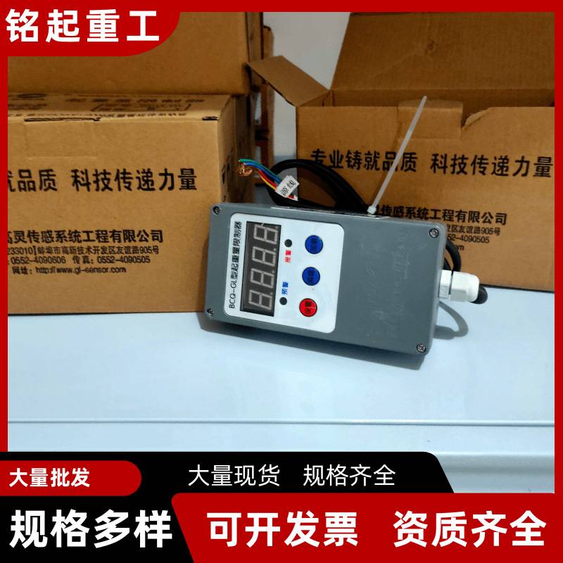 BCQ-GL型起重量限制器 龙门行车超载限制器 电动葫芦起重限重器