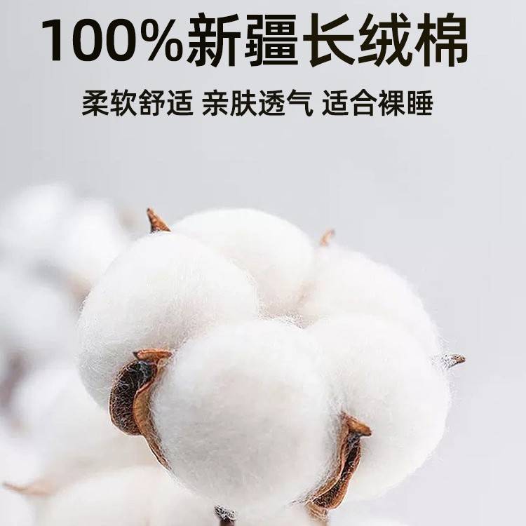 纯棉床笠单件100全棉床罩2025新款床垫保护儿童男孩床单人三件套