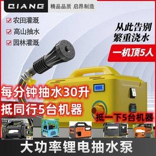 【德国高端】浇菜浇水神器农用田浇地6分管抽水泵充电式抽浇水机