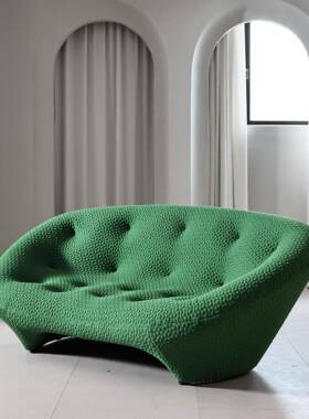 淇宇意式红写空间贝意37851异壳沙发网款客厅简约弧形定型棉布艺