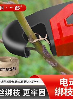 中村一郎绑枝机果树葡萄