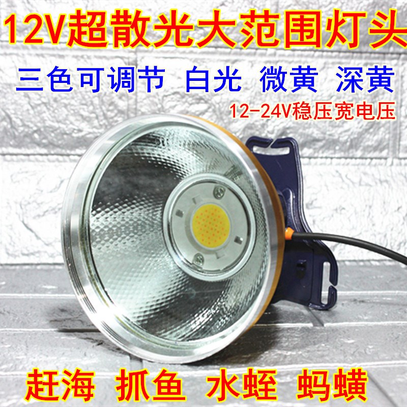 12V头灯散光外接电瓶黄鳝蚂蟥抓鱼赶海微黄黄光白光三色大光斑