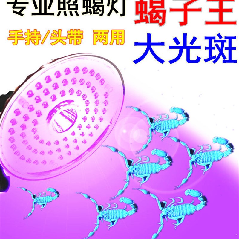紫光灯蝎子灯豆虫照明灯紫光白光LED专用灯头戴式手提两用养殖