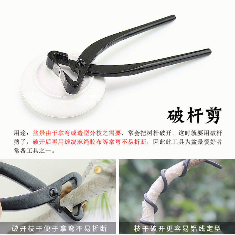 德国进口盆景球节剪球钳盆栽树瘤树节修剪钳专业园艺花艺制作造型,农机/农具/农膜,灌溉工具,淘宝优惠券,粉丝福利购,淘宝优惠卷