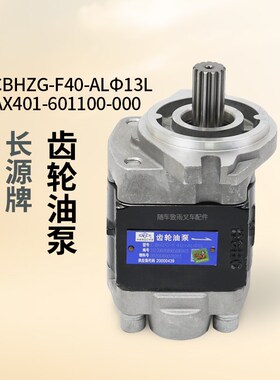 长源牌液压齿轮油泵CBHZG-F40-AL13L 13齿 适用杭叉R40 4D32G31