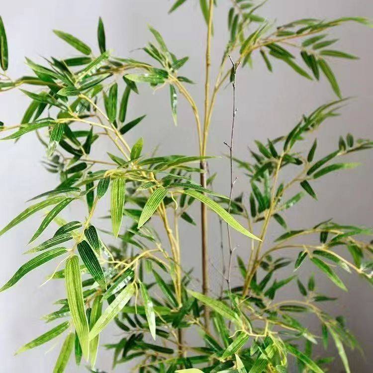 仿真竹子盆栽新中式禅意客厅室内装饰摆件假竹子落地造景绿植盆景
