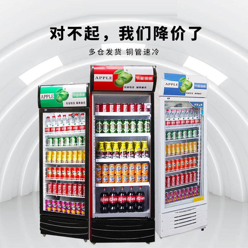 量商用大容饮料冰柜立式冰箱柜玻璃酒单614双门超市啤保鲜冷藏展