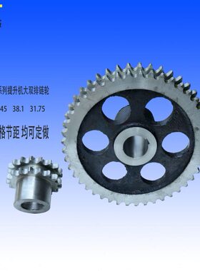 NE100提升机主动链轮 大双排链轮 小双排链轮 17齿双排 49齿双排