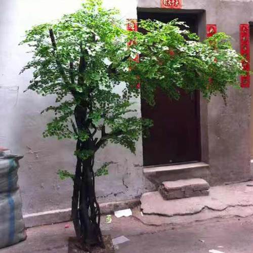 定仿真树榕树仿真大型物装饰植大厅制装饰树造景小树实木干景003