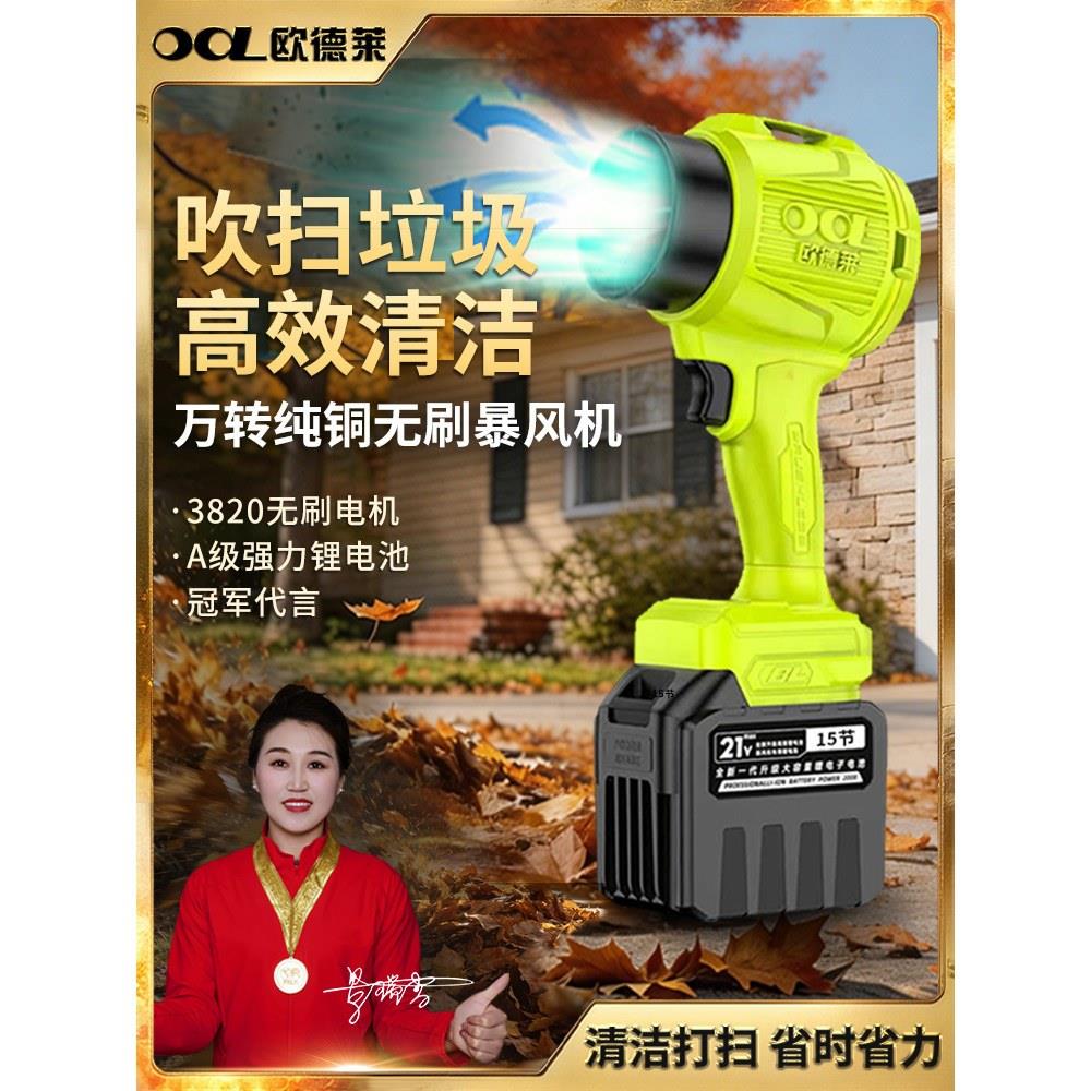 欧德莱工业级纯铜无刷电