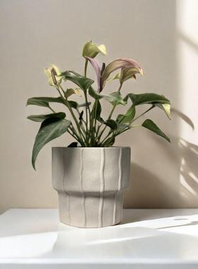 北欧透磨砂水泥盆新YDZ居绿萝海花芋海棠花盆油个性奶艺气术简约