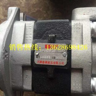 SGP1A25A2H9 叉车齿轮泵 L288C SGP1A25F2H9 R003C 岛津液压油泵