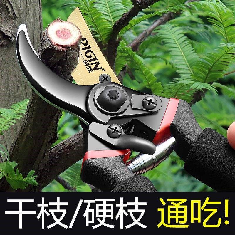德国技术德国 钢SK5修枝剪省力家用果树园林粗枝剪嫁接花艺园艺剪
