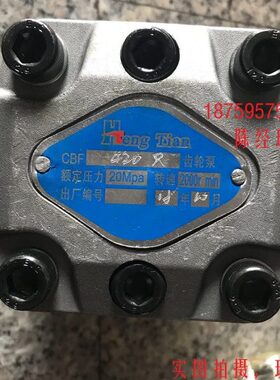 CBF-420R齿轮泵HENGTIAN 石材机器专用齿轮泵CBF-F420/CBF-F432