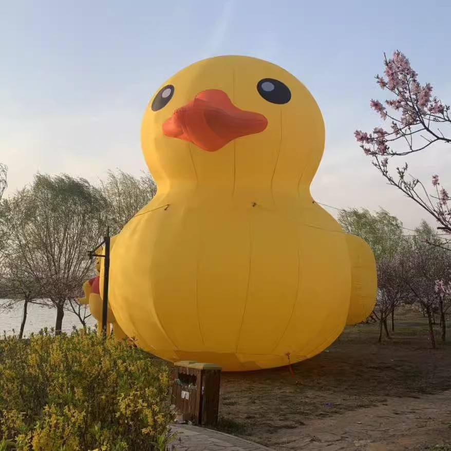 充气水上大黄鸭大白鹅巨型水陆漂浮物景区商场装饰美陈充卡通玩具