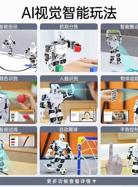 树莓派5/4B人形机器人 Python编程TonyPi Pro 追踪抓取AI视觉识别