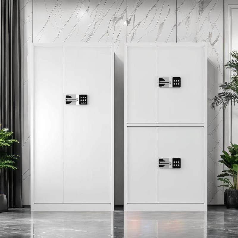 保密柜密码锁文件柜铁皮保险柜指纹锁资料柜档案柜通体柜办公桌