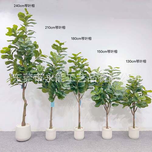 新款仿真琴叶榕仿真琴叶榕树落地盆栽摆件家居店铺直播间造景装饰