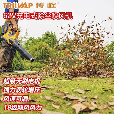传峰62V充电式锂电吹风机手提无线锂电鼓风机除尘机吹落叶吹雪机