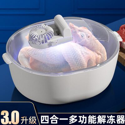 自动解冻神器解冻机家用快速多功能食物保鲜商用四合一解冻器