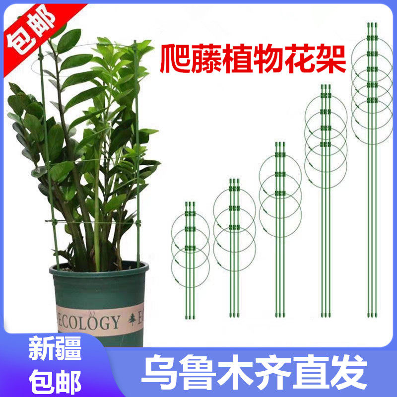 只发新疆爬藤架花支架月季花架室内花卉绿萝支撑杆铁线莲攀爬园艺