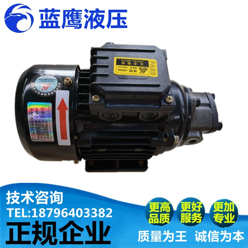RHB-2.5/1/1.6/1.5/3.15/4摆线油泵马达电机组120W 380V润滑泵 JZ