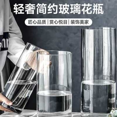 玻璃花瓶摆件客厅插花水培水养植物专用高级感直筒容器透明富贵竹