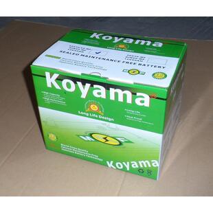 M5530汽F维车电池512V55AH免护汽车968起动蓄电池电瓶