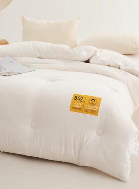 款李官新奇款大豆纤维拉被加厚保暖冬被夏被春AL101545秋被链子母