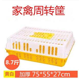 鸽鸡用周转IEF运输鸡笼成料鸡鸭鹅兔运输笼筐成鸡笼塑周转筐箱框