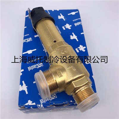 CASTEL卡士托压力泄压阀3030/88C280压力安全保护泄压阀接口1寸