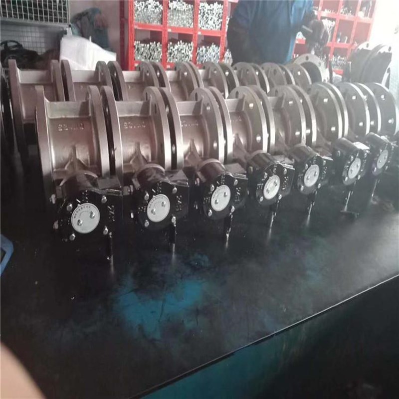 D341J-10iP 全衬胶手动法兰蝶阀 软密封蜗轮碟阀304不锈钢法兰碟