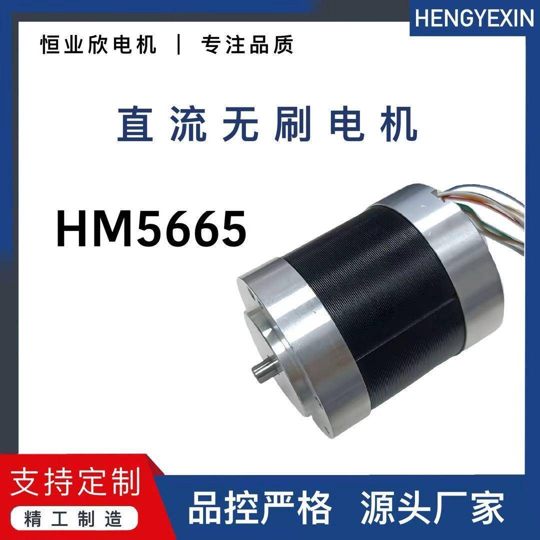 厂家直供56mm微型无刷电机HM5665大扭矩高性能低噪大功率直流马达