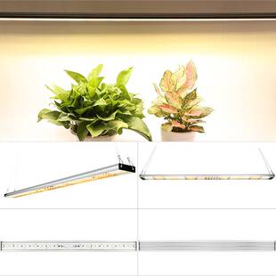 led植物灯量子板长条补光灯全光谱绿植花架多肉蔬菜生长灯跨境100