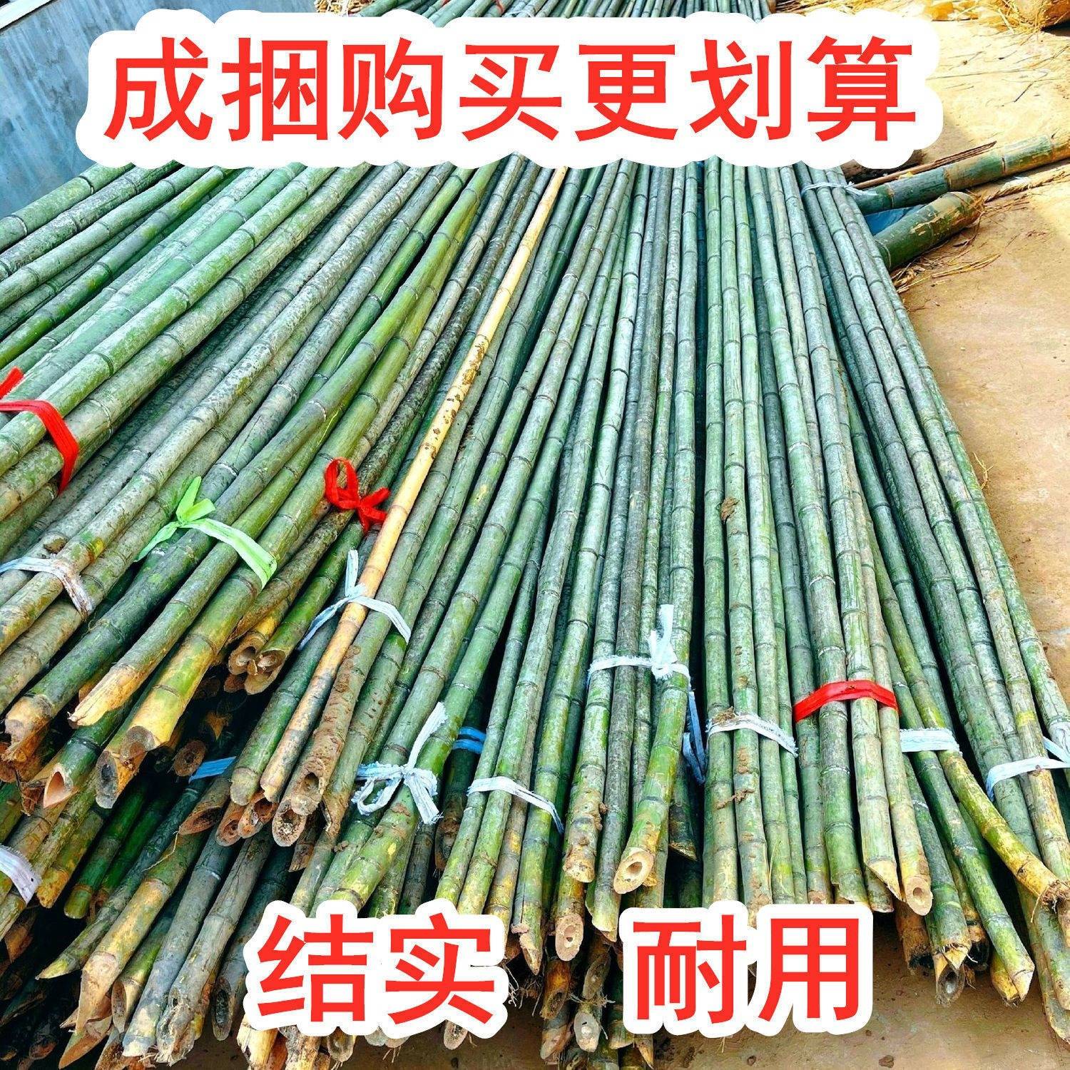 竹竿子搭架菜园竹片杆细竹条豆角黄瓜西红柿瓜果蔬菜架子园艺支架