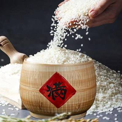 景德镇中式陶瓷老式复古米缸带盖50斤装米桶家用面桶防潮防虫密封